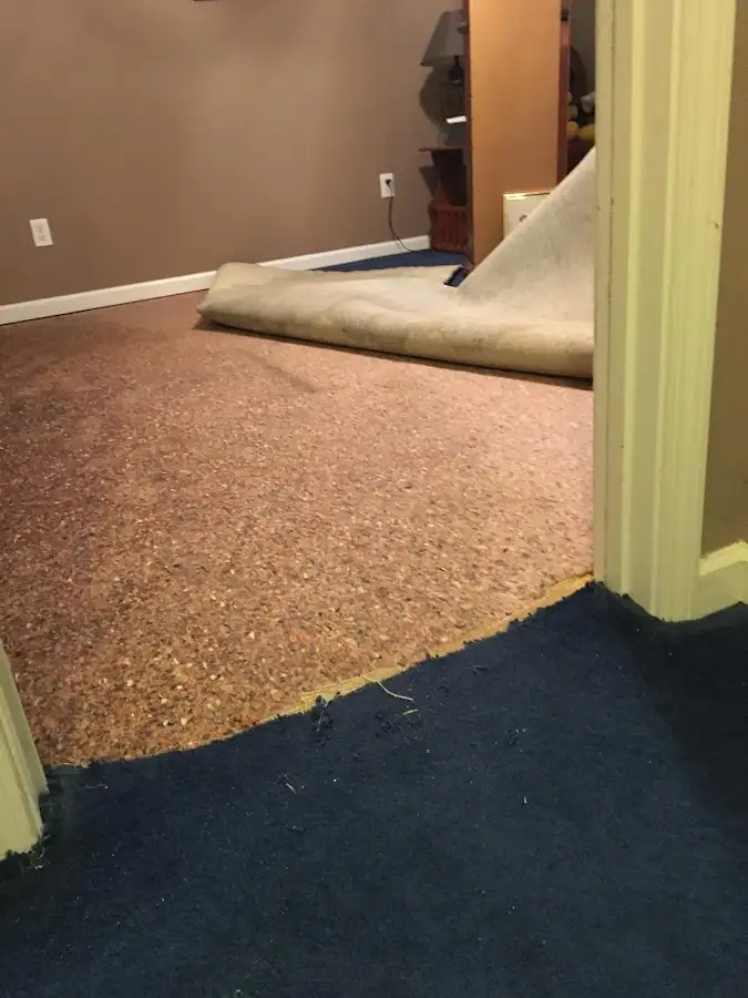 Carpet pad removal revealing water damage during Drying & Dehumidification in Covington