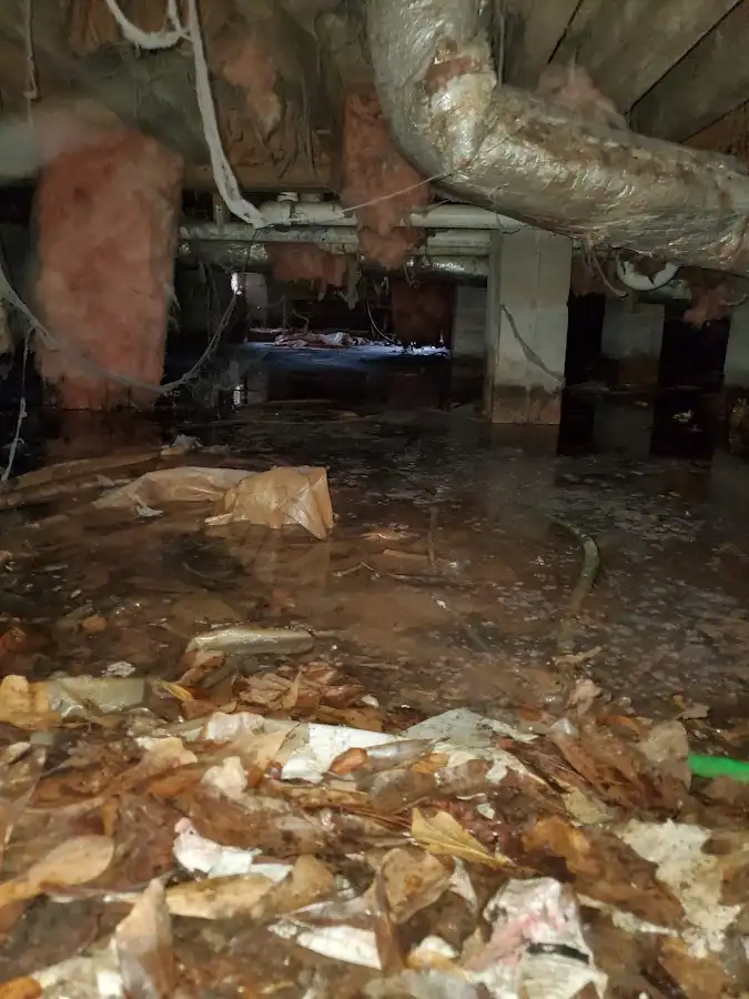 Crawl space flood assessment for Leak Detection & Repair in Covington